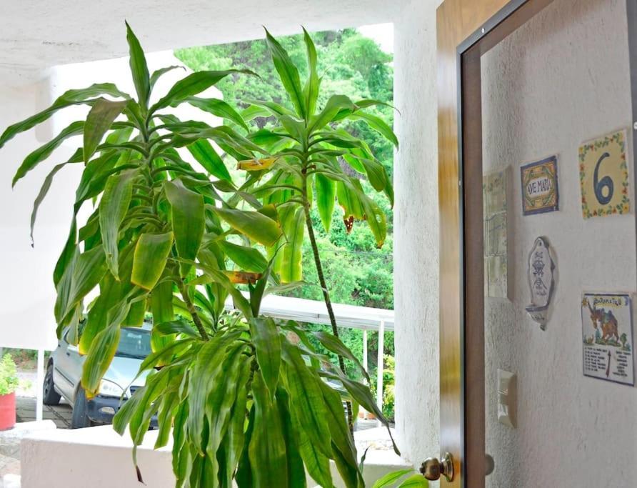 Vista Hermosa Daire Manzanillo Dış mekan fotoğraf